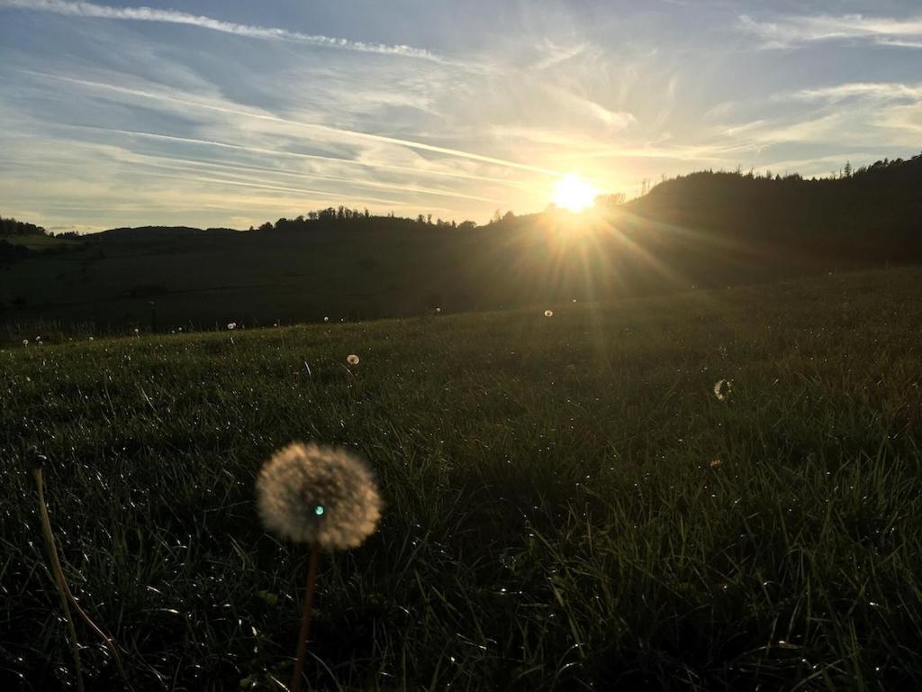 Natur Pur Im Schoenen Sauerland Lejlighed Allendorf  Eksteriør billede