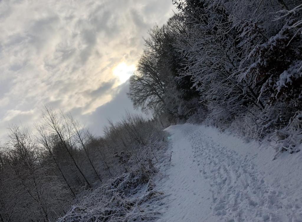 Natur Pur Im Schoenen Sauerland Lejlighed Allendorf  Eksteriør billede